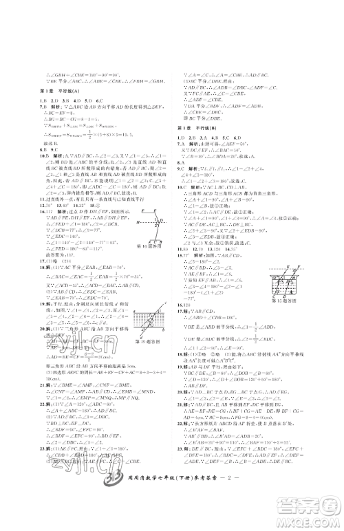 云南科技出版社2023周周清检测七年级下册数学浙教版参考答案