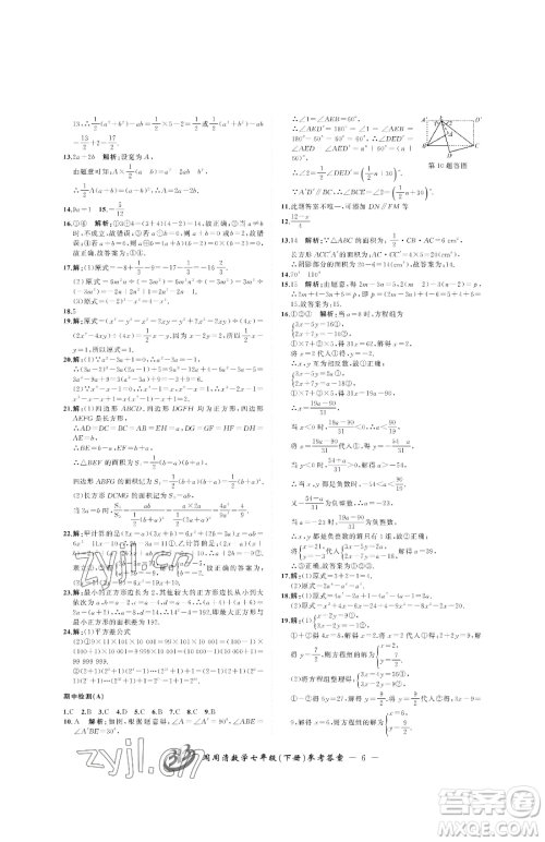 云南科技出版社2023周周清检测七年级下册数学浙教版参考答案