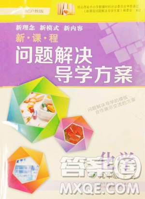 山西教育出版社2023新课程问题解决导学方案九年级下册化学沪教版参考答案