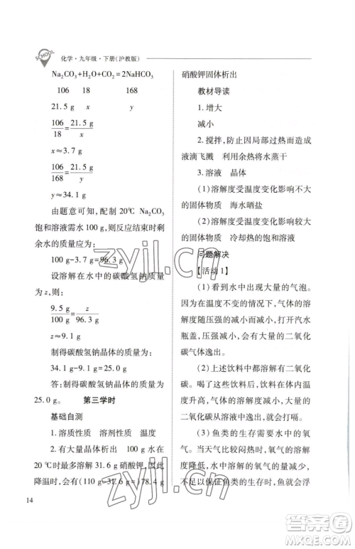 山西教育出版社2023新课程问题解决导学方案九年级下册化学沪教版参考答案