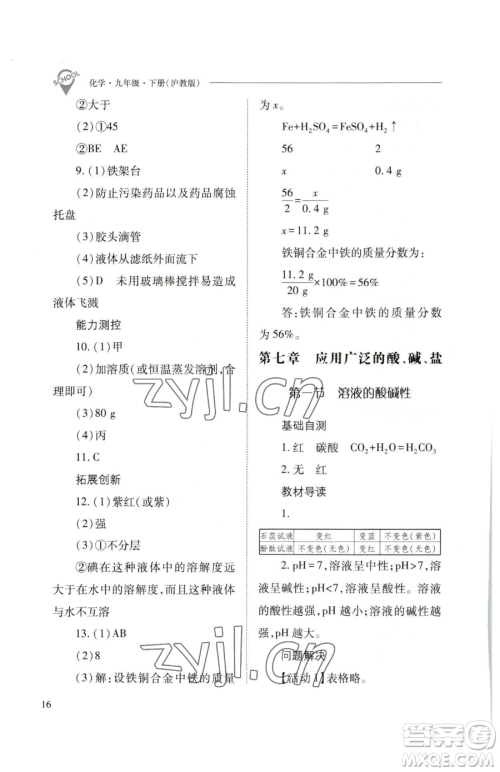 山西教育出版社2023新课程问题解决导学方案九年级下册化学沪教版参考答案