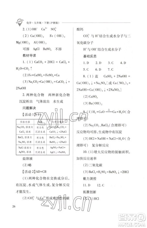 山西教育出版社2023新课程问题解决导学方案九年级下册化学沪教版参考答案