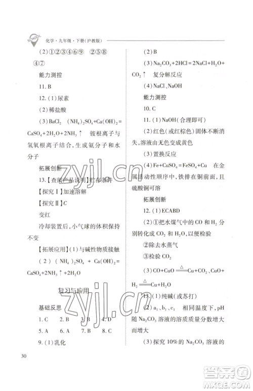 山西教育出版社2023新课程问题解决导学方案九年级下册化学沪教版参考答案