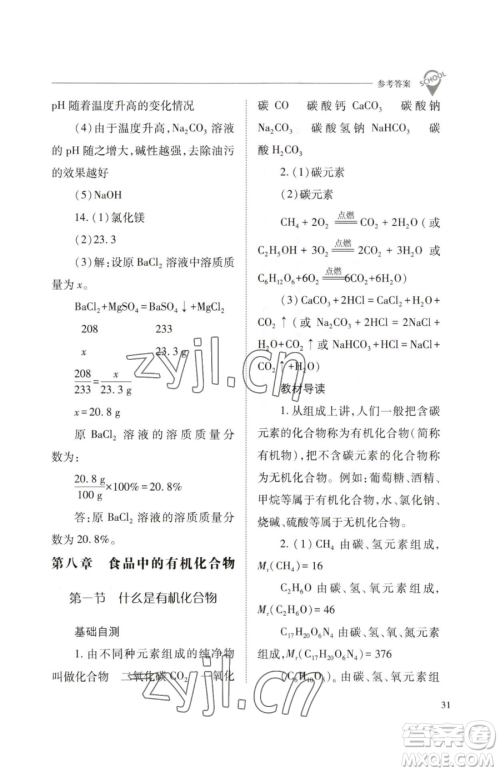 山西教育出版社2023新课程问题解决导学方案九年级下册化学沪教版参考答案