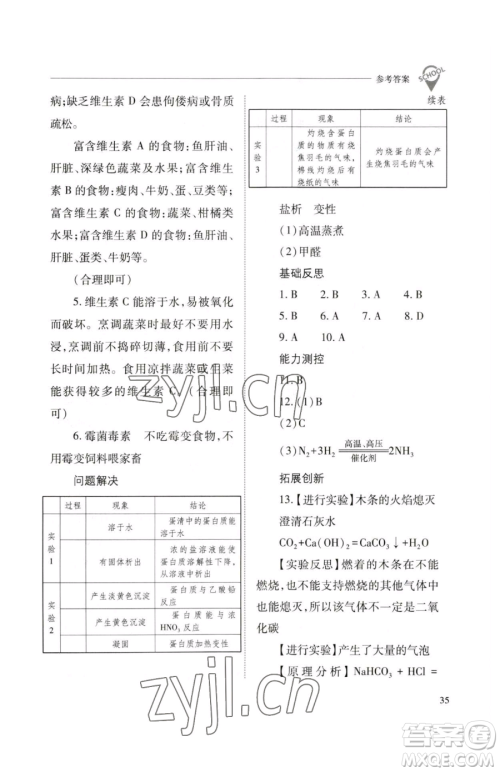 山西教育出版社2023新课程问题解决导学方案九年级下册化学沪教版参考答案