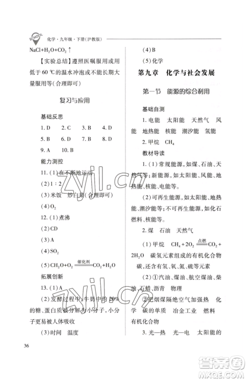 山西教育出版社2023新课程问题解决导学方案九年级下册化学沪教版参考答案