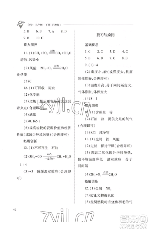 山西教育出版社2023新课程问题解决导学方案九年级下册化学沪教版参考答案