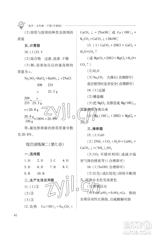 山西教育出版社2023新课程问题解决导学方案九年级下册化学沪教版参考答案