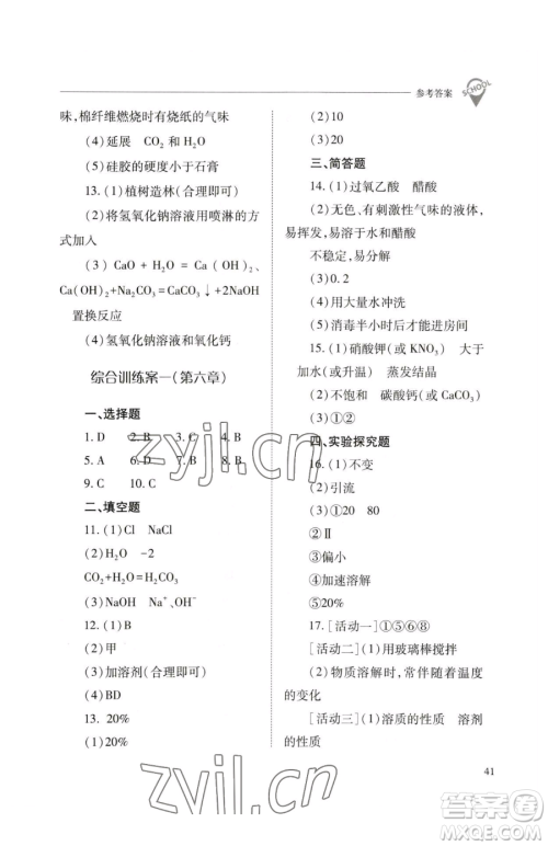 山西教育出版社2023新课程问题解决导学方案九年级下册化学沪教版参考答案