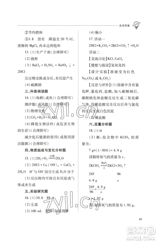 山西教育出版社2023新课程问题解决导学方案九年级下册化学沪教版参考答案