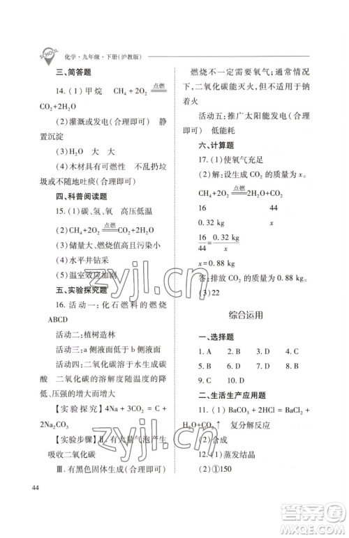 山西教育出版社2023新课程问题解决导学方案九年级下册化学沪教版参考答案