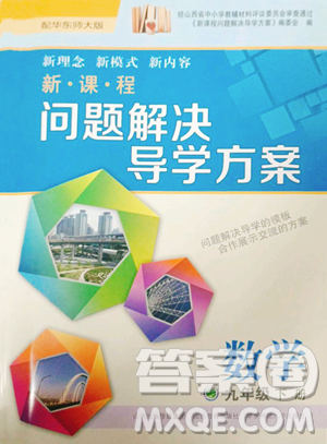 山西教育出版社2023新课程问题解决导学方案九年级下册数学华东师大版参考答案