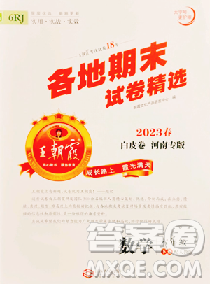 江西人民出版社2023王朝霞各地期末试卷精选六年级下册数学人教版河南专版参考答案