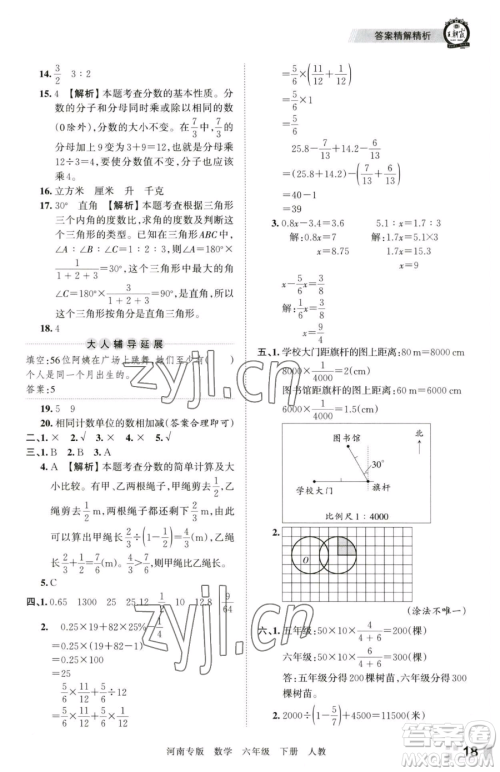 江西人民出版社2023王朝霞各地期末试卷精选六年级下册数学人教版河南专版参考答案