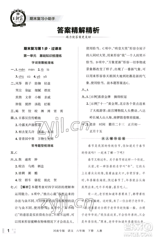 江西人民出版社2023王朝霞各地期末试卷精选六年级下册语文人教版河南专版参考答案