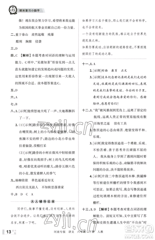 江西人民出版社2023王朝霞各地期末试卷精选六年级下册语文人教版河南专版参考答案