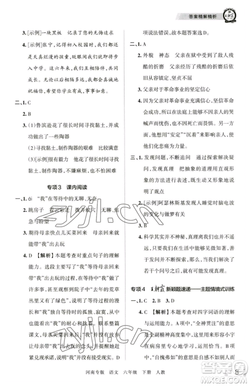 江西人民出版社2023王朝霞各地期末试卷精选六年级下册语文人教版河南专版参考答案