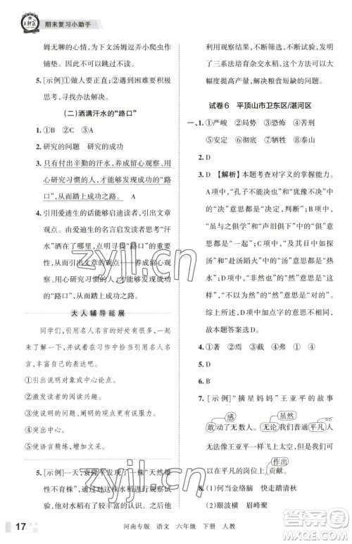 江西人民出版社2023王朝霞各地期末试卷精选六年级下册语文人教版河南专版参考答案