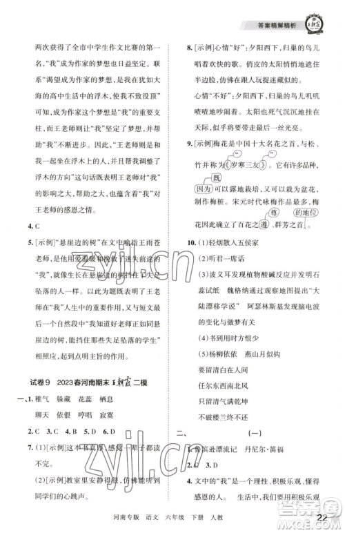 江西人民出版社2023王朝霞各地期末试卷精选六年级下册语文人教版河南专版参考答案