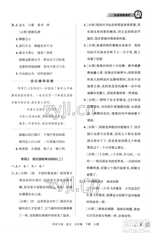 江西人民出版社2023王朝霞各地期末试卷精选五年级下册语文人教版河南专版参考答案
