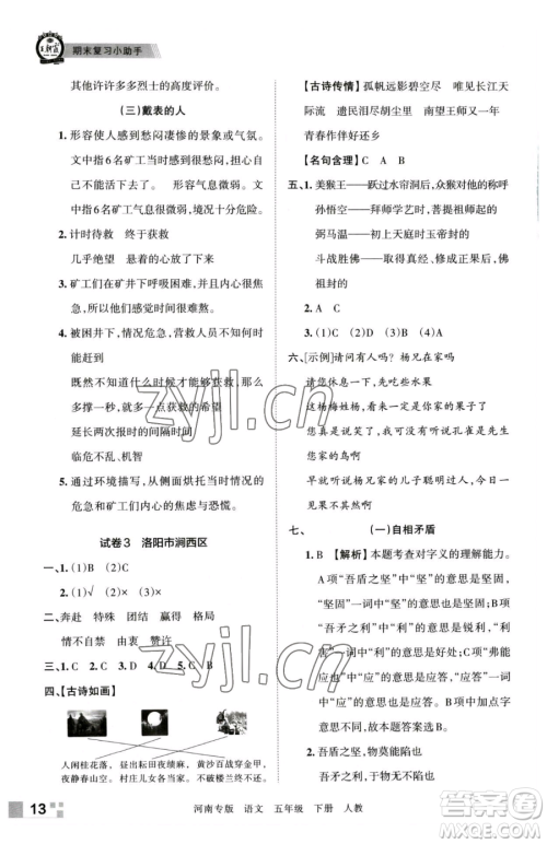 江西人民出版社2023王朝霞各地期末试卷精选五年级下册语文人教版河南专版参考答案