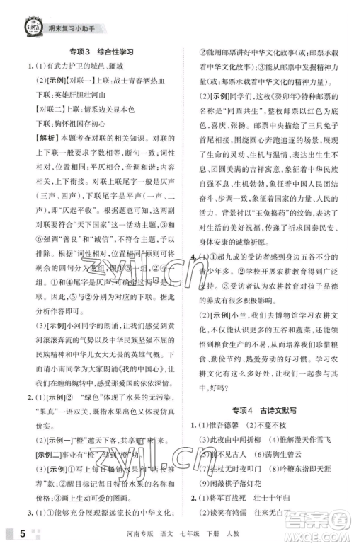 江西人民出版社2023王朝霞各地期末试卷精选七年级下册语文人教版河南专版参考答案