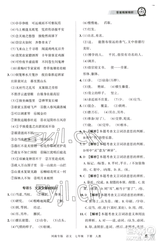 江西人民出版社2023王朝霞各地期末试卷精选七年级下册语文人教版河南专版参考答案