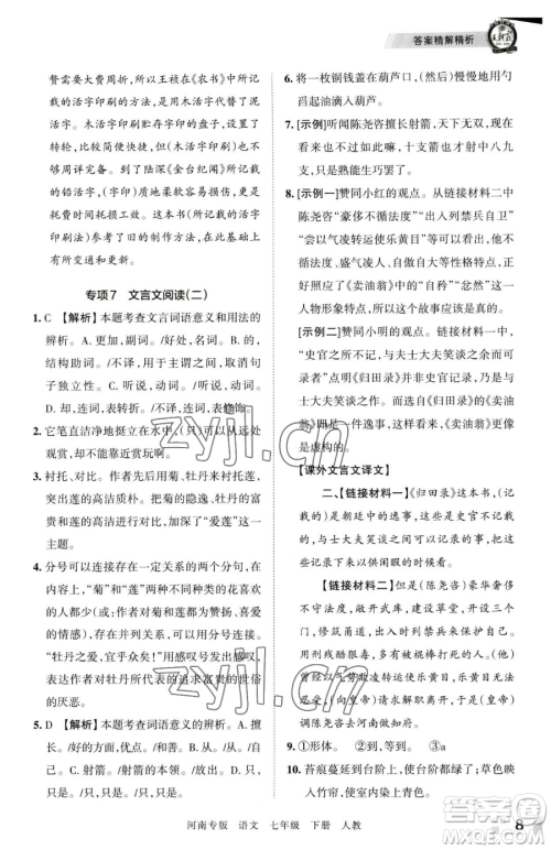 江西人民出版社2023王朝霞各地期末试卷精选七年级下册语文人教版河南专版参考答案