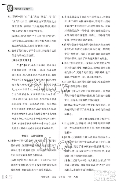 江西人民出版社2023王朝霞各地期末试卷精选七年级下册语文人教版河南专版参考答案