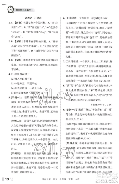 江西人民出版社2023王朝霞各地期末试卷精选七年级下册语文人教版河南专版参考答案