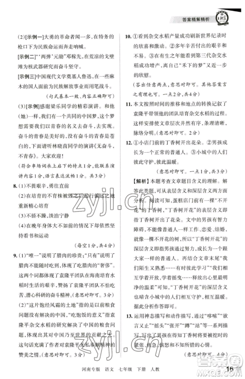 江西人民出版社2023王朝霞各地期末试卷精选七年级下册语文人教版河南专版参考答案