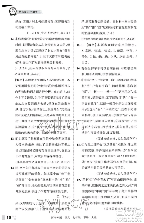 江西人民出版社2023王朝霞各地期末试卷精选七年级下册语文人教版河南专版参考答案