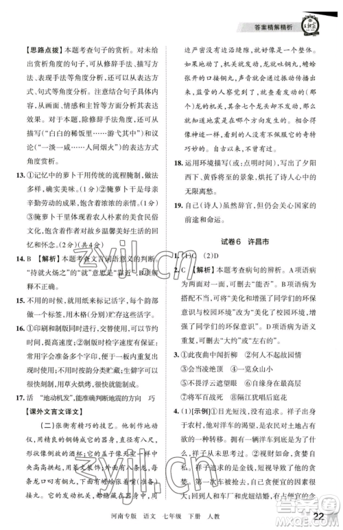 江西人民出版社2023王朝霞各地期末试卷精选七年级下册语文人教版河南专版参考答案