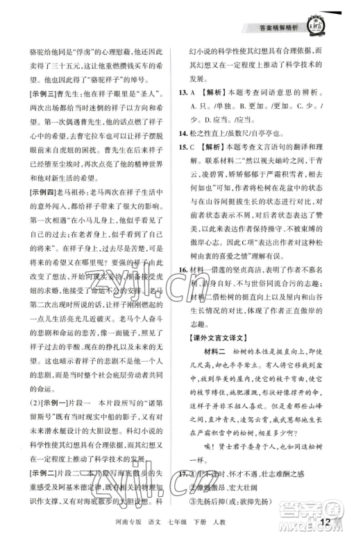 江西人民出版社2023王朝霞各地期末试卷精选七年级下册语文人教版河南专版参考答案