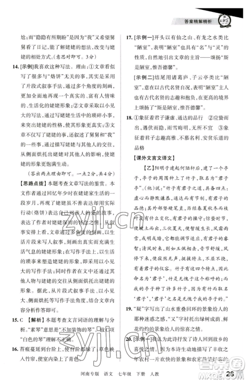 江西人民出版社2023王朝霞各地期末试卷精选七年级下册语文人教版河南专版参考答案