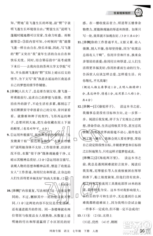 江西人民出版社2023王朝霞各地期末试卷精选七年级下册语文人教版河南专版参考答案