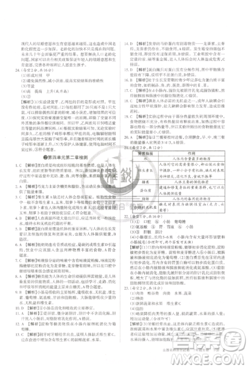 北京教育出版社2023山西名师原创试卷七年级下册生物人教版参考答案