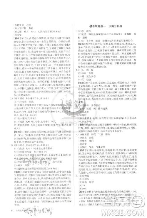 北京教育出版社2023山西名师原创试卷八年级下册生物人教版参考答案