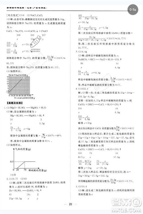 世界图书出版公司2023新课标中考宝典九年级化学通用版广东专版参考答案