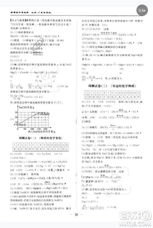 世界图书出版公司2023新课标中考宝典九年级化学通用版广东专版参考答案