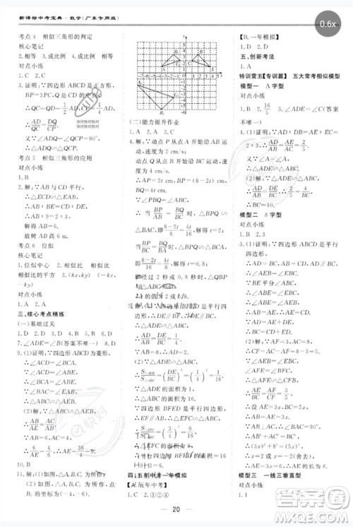 世界图书出版公司2023新课标中考宝典九年级数学通用版广东专版参考答案