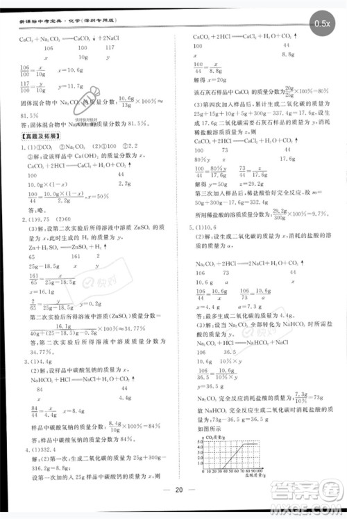 世界图书出版公司2023新课标中考宝典九年级化学通用版深圳专版参考答案