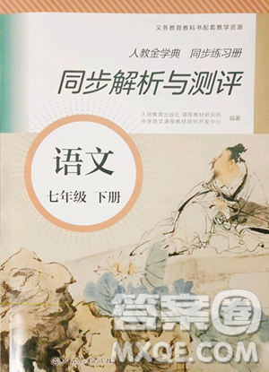 人民教育出版社2023人教金学典同步解析与测评七年级下册语文人教版参考答案