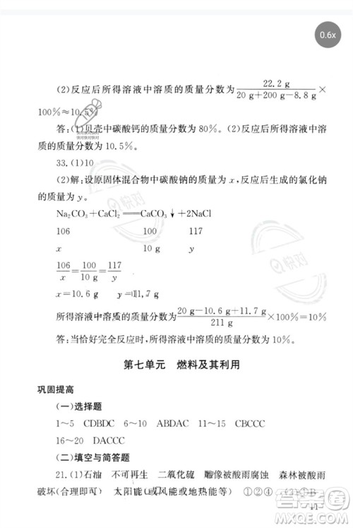 团结出版社2023剑指中考九年级化学通用版郴州专版参考答案