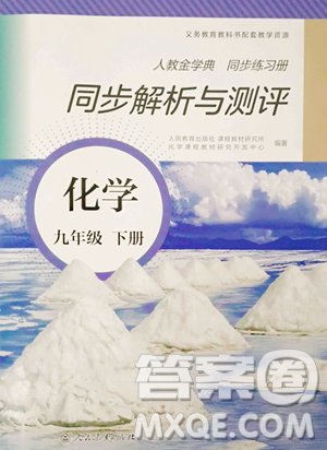 人民教育出版社2023人教金学典同步解析与测评九年级下册化学人教版山西专用参考答案 人民教育出版社2023人教金学典同步解析与测评九年级下册化学人教版山西专用参考答案