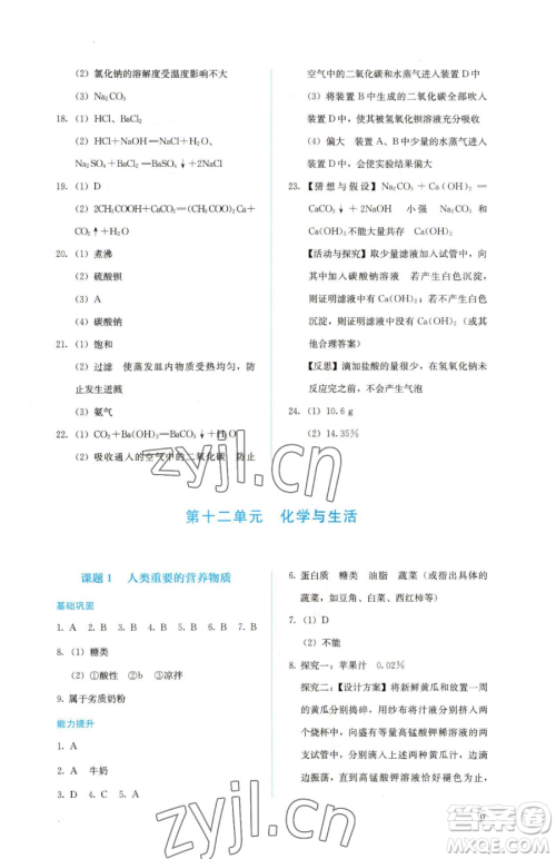人民教育出版社2023人教金学典同步解析与测评九年级下册化学人教版山西专用参考答案 人民教育出版社2023人教金学典同步解析与测评九年级下册化学人教版山西专用参考答案