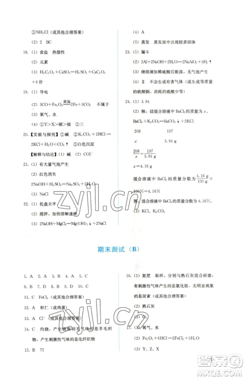 人民教育出版社2023人教金学典同步解析与测评九年级下册化学人教版山西专用参考答案