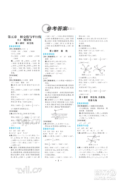 人民教育出版社2023人教金学典同步解析与测评七年级下册数学人教版重庆专版参考答案 人民教育出版社2023人教金学典同步解析与测评七年级下册数学人教版重庆专版参考答案