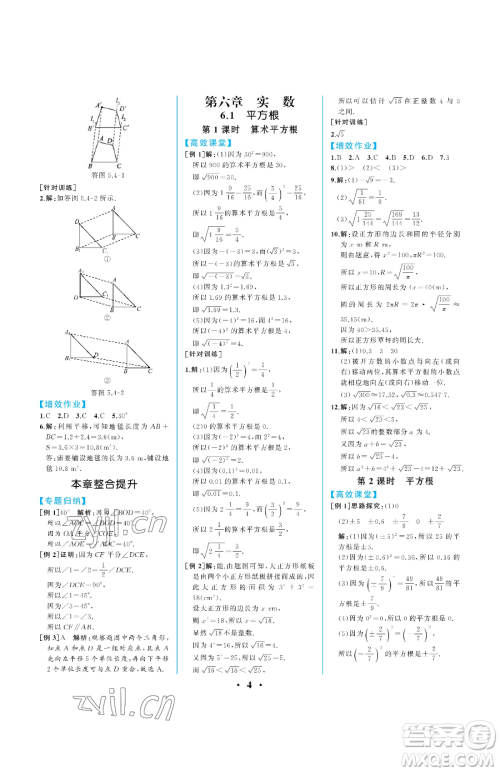 人民教育出版社2023人教金学典同步解析与测评七年级下册数学人教版重庆专版参考答案 人民教育出版社2023人教金学典同步解析与测评七年级下册数学人教版重庆专版参考答案