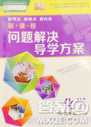 山西教育出版社2023新课程问题解决导学方案九年级下册化学人教版参考答案